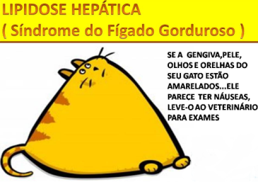 lipose-hepatica